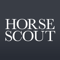 Horse Scout