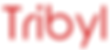 Buyer Intelligence Cloud