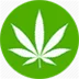 Medical Marijuana Program Connection