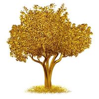 GTIF Capital