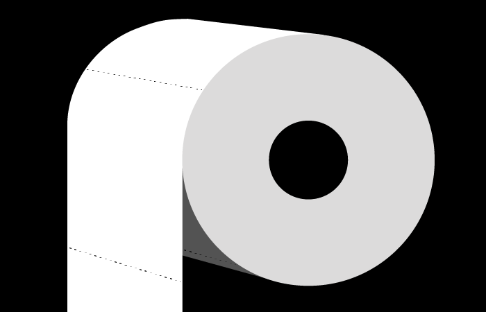 Paper Toilet