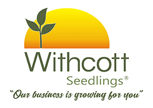 Withcott Seedlings