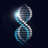 KOMO BIOSCIENCES