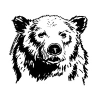 CommerceBear
