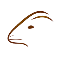 Zamgoat Products Ltd