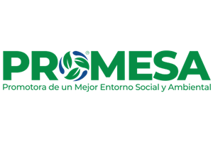 Grupo PROMSEA