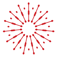 Redkiwi - Digital Agency