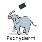 Pachyderm, Inc.