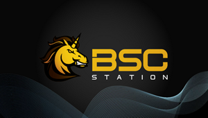 BSCStation Swap