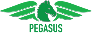 Pegasus