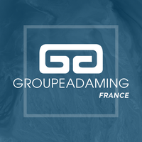 Groupe ADAMING