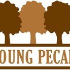 Young Pecan