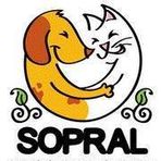 Sopral