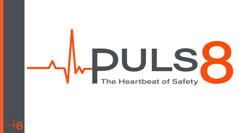 Puls8 LTD