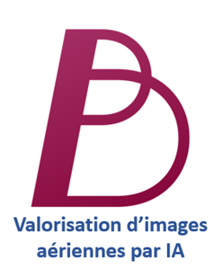 BPartners IAdetector