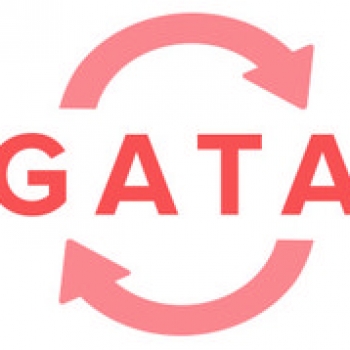 Gata Labs - Angel One Investor Network