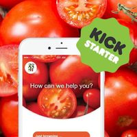 ShadyFoods
