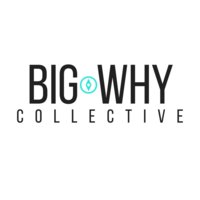 Big Why Collective