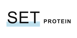 SET Protein