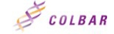 ColBar