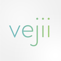 Vejii Holdings Ltd