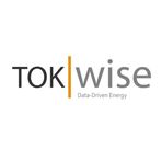 TokWise