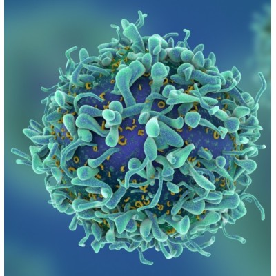 GammaDelta Therapeutics