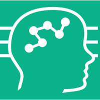 The Brain Institute of America