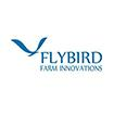Flybird