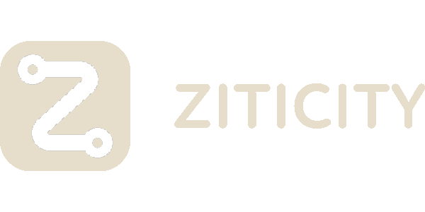 Ziticity
