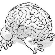 Psychometra
