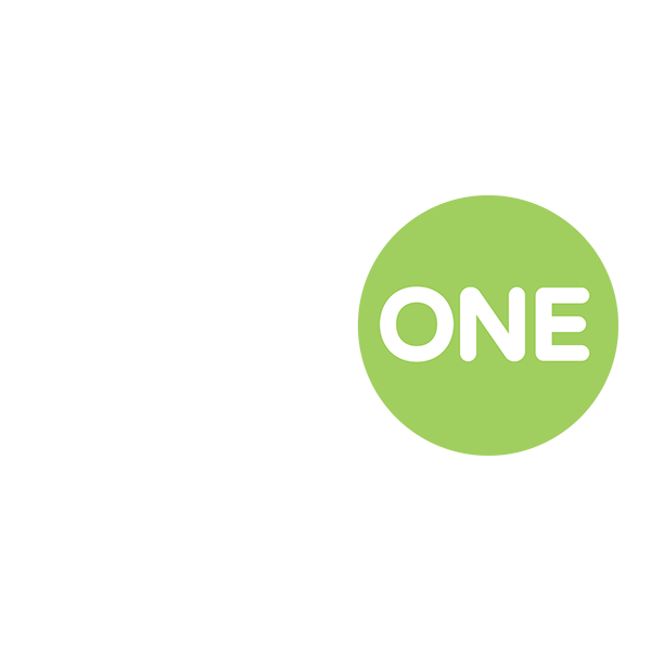 SmartONE Solutions Inc.