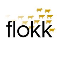 Flokk Systems Inc.