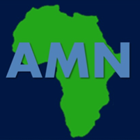 Africa Mobile Networks (AMN)