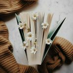 Books space