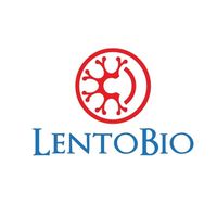 Lento Bio