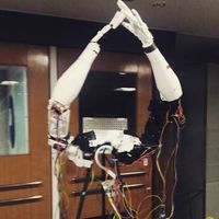 Footloose Labs