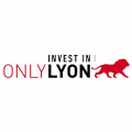 Only Lion