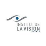 Institut de la vision
