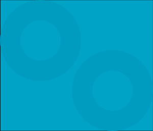 Boston Impact Initiative
