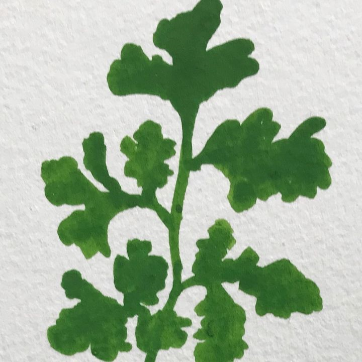 Matriark Foods