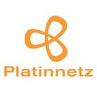 Platinnetz
