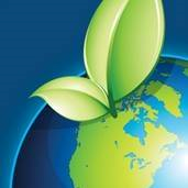 Brothers International Food, LLC