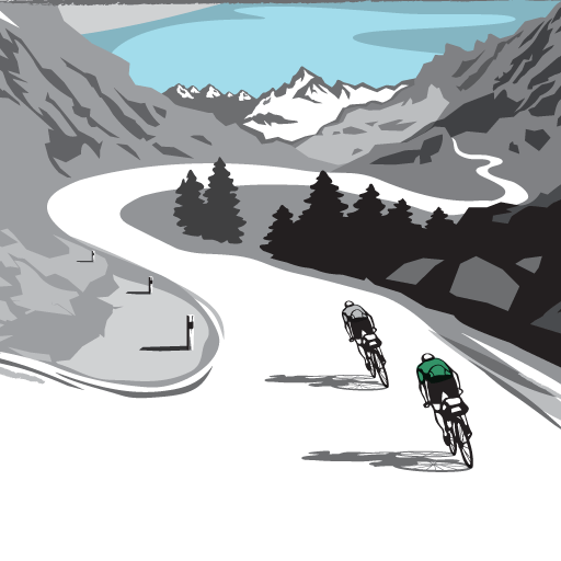 White Road Investments
