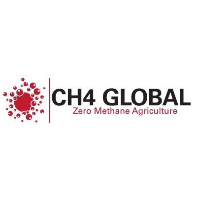 CH4Global