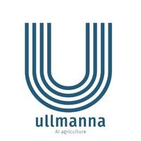Ullmanna