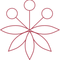 Spice Capital Partners