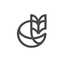 Rivalfox GmbH