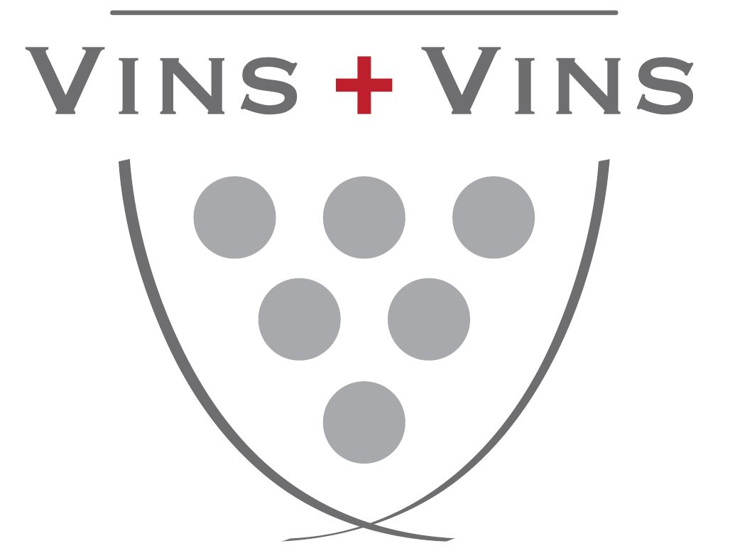 VINS+VINS