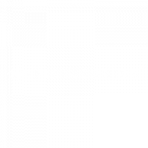 Histosonics Inc.